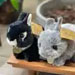 Baby Bunny Plush Toy by Aurora Miyoni